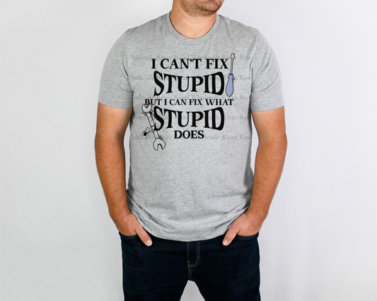 I Can't Fix Stupid