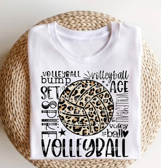 Volleyball